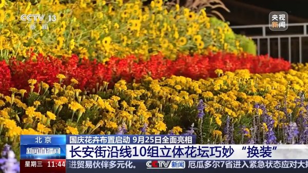 配资公司选配资配资 45万盆、超7000平方米 首都国庆花卉布置25日起全面亮相